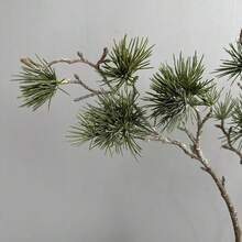 聖誕花環DIY用人造松枝，綠色塑膠綠植裝飾插枝，適用於節日花環製作、居家酒店新年派對裝飾 - 墨綠色 - 查看 1