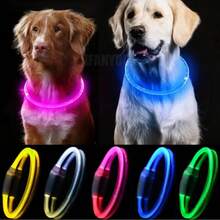 Kalung Anjing LED Isi Ulang Bercahaya - Kalung Keselamatan Hewan Peliharaan Malam Hari dengan Visibilitas Tinggi - Cocok untuk Jalan-jalan Malam, Lari, dan Penggunaan di Luar Ruangan - Dapat Diatur - Cocok untuk Anjing dan Kucing Kecil, Sedang, dan Besar - Tersedia Berbagai Warna - MultiWarna - View 3