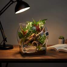 1pc Sturdy Transparent Round Fish Tank, Desktop Aquarium, Anti-Drop And Anti-Tip, Suitable For Turtles And Small Fish. Natural Stone Design, Versatile Use, Indoor/Outdoor Decorative Fish Tank. - Multicolor - View 2