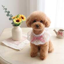 1pc Pet Lace Round Neck Bib, Embroidered Floral Mesh Scarf, Suitable For Cats And Dogs, Cute Sweet Style Neck Accessory, Adjustable And Soft, Daily Wear, Party Photo Prop, Cute Gift For Pet Lovers, Multiple Colors Available - Multicolor - View 10