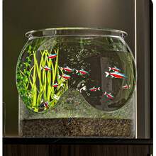 1pc Sturdy Transparent Round Fish Tank, Desktop Aquarium, Anti-Fall & Anti-Tip, Suitable For Turtles And Small Fish, Natural Stone Design, Versatile Indoor/Outdoor Decorative Fish Bowl - Multicolor - View 4