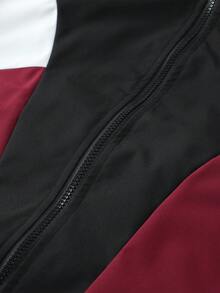 Stand Collar Curved Colorblock Patchwork Zipper Jacket, Casual & Outdoor Multi-Scenario Outfit, Sporty Style Travel Wear - black red - View 4