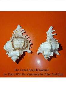 這款人造海螺/刺螺殼可用作水族箱裝飾、魚缸飾品或寄居蟹的替換殼，適合居家、臥室及航海主題裝飾 - 1 - 查看 2