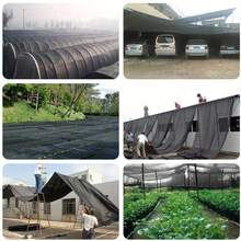 Outdoor Sunshade Nets, Sunshade Nets, Plant Sunshade Nets, With Dense Holes And High-Density Copper Buckles For Easy Hanging, UV-Proof, Breathable And Light-Shielding, Suitable For Pavilions, Greenhouses, Gardens And Lawns. - Black - View 5