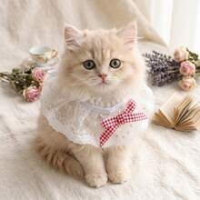 1pc Pet Lace Round Neck Bib, Embroidered Floral Mesh Scarf, Suitable For Cats And Dogs, Cute Sweet Style Neck Accessory, Adjustable And Soft, Daily Wear, Party Photo Prop, Cute Gift For Pet Lovers, Multiple Colors Available - Multicolor - View 9