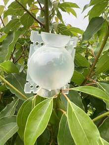 可重複使用植物根部生長盒 高壓氣層球 植物生根與嫁接裝置 快速植物繁殖 氣層播種莢 - 多色 - 查看 9