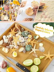 1000g/500g Natural Shells And Conch Decor, Mixed Natural Shells, Starfish And Scallops, Multiple Sizes, Beach Theme Party, DIY Crafts, Aquarium Decoration, Home Decor, Wedding Decor (Small), Wedding Decor, Random Sizes - Set - View 5