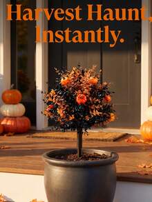 Halloween Pumpkin Eucalyptus Yard Stake Decor, Autumn Artificial Greenery Pumpkin Ground Stake Ornament, Spooky Outdoor Porch Lawn Garden Decoration, Halloween Trick Or Treat Party Harvest Home Front Yard Decor Gift - A - View 8