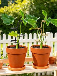Plant Support Stakes – Durable Garden Supports For Flowers And Greenery – Suitable For Flowers And Herbs – 12.6-Inch (Approx. 32 Cm) – Ideal For Indoor And Outdoor Plants – Easy-To-Use Support Structure – Enhanced Stability - Multicolor - View 2