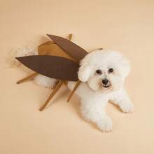 PETSIN 1pc Halloween Dog Costume, Hook-And-Loop Cockroach Outfit For Pets, Funny Party, Walk & Video Shoot Costume - Coffee Brown - View 3