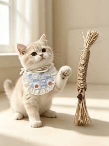 Brinquedo de Mastigar para Gatos com Fruta de Videira Prateada & Babador de Renda para Animais de Estimação Conjunto com 2 Peças, Brinquedo para Gatos para Limpeza Dental & Alívio do Estresse, Babador Decorativo Fofo Ajustável, Adequado para Gatos e Filhotes - Multicolorido - Visão 5