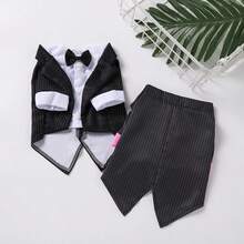 Pet Striped Tuxedo With Bow Tie, Gentle Wedding Formal Wear, Suitable For Dogs And Cats, Corgi Teddy Party Outfit - Black - View 12