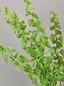 Flor de concha artificial de 37 pulgadas, tallo de flor de campana irlandesa artificial, relleno de planta floral verde artificial, tallo de flor de campana irlandesa artificial, adecuado para jarrón, centro de mesa, decoración de boda y fiesta, arreglo floral DIY, decoración de estilo bohemio, regalo, hogar, jardín, dormitorio, sala de estar, plantas - Verde - Ver 9