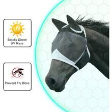 Horse Toys - Style A - View 10