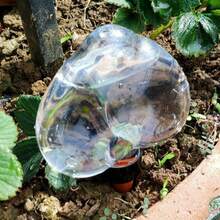 1件裝星星與愛心造型自動澆水裝置,家用懶人浸滲滴灌澆水器,含滴灌管 - 透明 - 查看 6