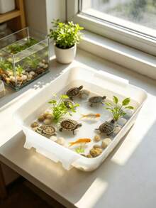 1件多功能塑料繁殖缸,透明白色開頂蓋水族棲息地,便攜式烏龜缸魚類繁殖桶,附加高底座,適合小烏龜、金魚、蝦、寄居蟹,居家桌面水族寵物容器 - A型 - 查看 9