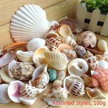Aquarium Beach Treasure Mix - Shells & Sea Shells - Activate Fish Tank And Glass Tank - A - View 16