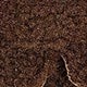 Coffee Brown