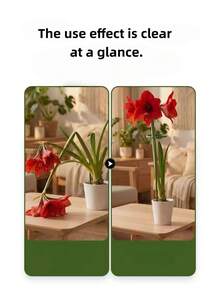 植物支撐樁 花架 攀爬植物支撐桿 懸掛植物支撐架 仙丹花 繡球花園藝支撐桿 - A - 查看 8