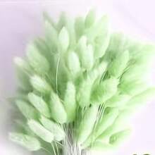 60/120/180/240支 17英吋人造兔尾草莖，居家裝飾人造兔尾草枝，適用於波希米亞風花藝布置、手工DIY、居家/廚房裝飾、婚禮裝飾、聖誕裝飾、感恩節裝飾及手工花環製作 - 嫩綠色 - 查看 2
