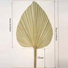 10PCS Natural Rattan Dried Palm Fans - Suitable For Wall Decoration, Wedding, Holiday Parties, Decor - Multi-Holiday Use For Christmas, Easter, Thanksgiving - Dried Flower Fan Blowers - 30-50cm - View 3