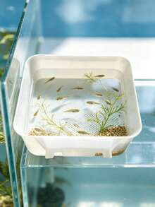 1件多功能塑料繁殖缸,透明白色開頂蓋水族棲息地,便攜式烏龜缸魚類繁殖桶,附加高底座,適合小烏龜、金魚、蝦、寄居蟹,居家桌面水族寵物容器 - A型 - 查看 5