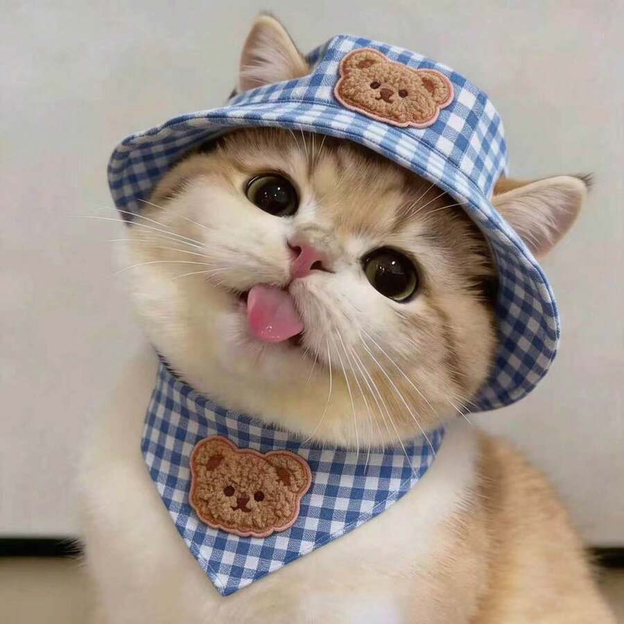 Topi Pelindung Matahari Anjing Motif Kotak-kotak Beruang Kartun, Lubang Telinga yang Dapat Diatur, Topi Hewan Peliharaan Luar Ruangan yang Bernapas untuk Musim Panas, Cocok untuk Anjing dan Kucing Kecil dan Sedang - MultiWarna - View 1