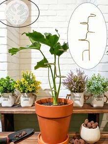 Plant Support Stakes – Durable Garden Supports For Flowers And Greenery – Suitable For Flowers And Herbs – 12.6-Inch (Approx. 32 Cm) – Ideal For Indoor And Outdoor Plants – Easy-To-Use Support Structure – Enhanced Stability - Multicolor - View 17