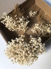 Milk White Starry Sky 1