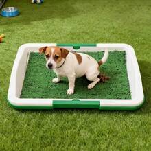 Dog Toilet - Green - View 2