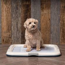 Dog Toilet - Grey - View 8