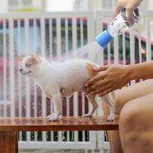 Portable Silicone Pet Shower Head Adapter, Adjustable Water Flow, Fits 16oz To 2L Plastic Soda Bottles, Multi-Function Nozzle, Suitable For Dog And Cat Bathing, Plant Watering, Gardening, Travel And Outdoor, Easy To Install, Lightweight And Washable, Sky Blue - Multicolor - View 13