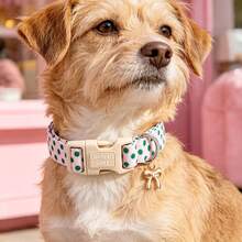 Kalung Anjing Lionheart Glory Lucu Warna Pink dengan Motif Polkadot Hijau, Kalung Hewan Peliharaan Lembut dan Dapat Diatur untuk Anjing, Anak Anjing, Anjing Jantan dan Betina, Gaya Liburan - Dusty Pink - View 7