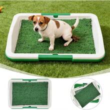 Dog Toilet - Green - View 7