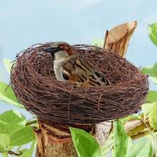 11 piezas Nido de pájaro tejido - Nido de pájaro artificial, Nido de pájaro falso, Casa de pájaro, Decoración de nido de pájaro, Utilizado para plantas artificiales de jardín exterior, Decoración de vacaciones, Patio, Fiesta en casa, Boda, Pascua, Primavera, Decoración de flores artificiales, Accesorios de arreglo artificial de nido de pájaro, Sin huevos - Ver 10