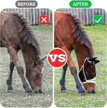 Horse Toys - Style A - View 3