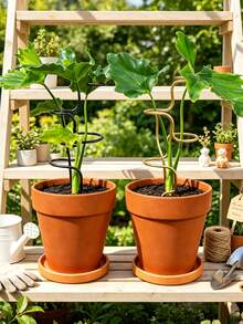Plant Support Stakes – Durable Garden Supports For Flowers And Greenery – Suitable For Flowers And Herbs – 12.6-Inch (Approx. 32 Cm) – Ideal For Indoor And Outdoor Plants – Easy-To-Use Support Structure – Enhanced Stability - Multicolor - View 3