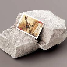 YFOPEN Vintage Prehistoric Dinosaur Playing Cards, Adventure Sketch Style Poker Cards, Double-Sided Decorative Gift Box Card Set - Multicolor - View 8