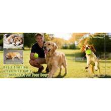 Tennis Balls 6 Pack Training Tennis Balls,High Elasticity Practice Tennis For Beginner, Exercise Playing Balls For Pet Dog HVV5 - 6pcs - View 7