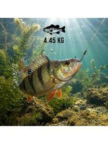 Sinking Fishing Line 600 M 0.14 Mm For Feeder And Float Fishing, 3D Chameleon Colour Monofilament With Low Underwater Visibility, High Abrasion Resistance And 4.45 Kg Strength, Durable Spool For Lakes, Rivers And Recreational Angling - Butterfly - View 3