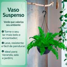 Kit com 10 Vaso Cuia 21 Preto Com 10 Haste Alça Preta para Plantas Samambaia - Preto - Visão 2