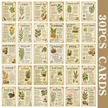 30 Vintage Herbal Knowledge Cards, Magic Herb Guide Grimoire Cards, Vintage Grimoire Herb Reference Cards, Witchcraft Herb Cards, Illustrated Plant Reference Cards - Multicolor - View 3