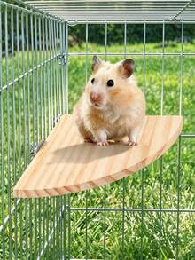1pc Random Color Wooden Fan-Shaped Bird Cage Platform, Bird Toy, Hamster Jump Board, Parrot Perch, Resting Platform, Suitable For Parrots, Hamsters, Jerboas And Long-Tailed Rats, Bird Cage Accessories, Bird Toys, Bird House, Autumn Decoration - View 3