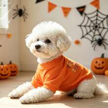 1PC Pet T-Shirt Dog Halloween Orange T-Shirt Funny Letter Print Pet Autumn Outfit Bichon Teddy Small Dog Holiday Party Warm Clothing - Orange - View 4