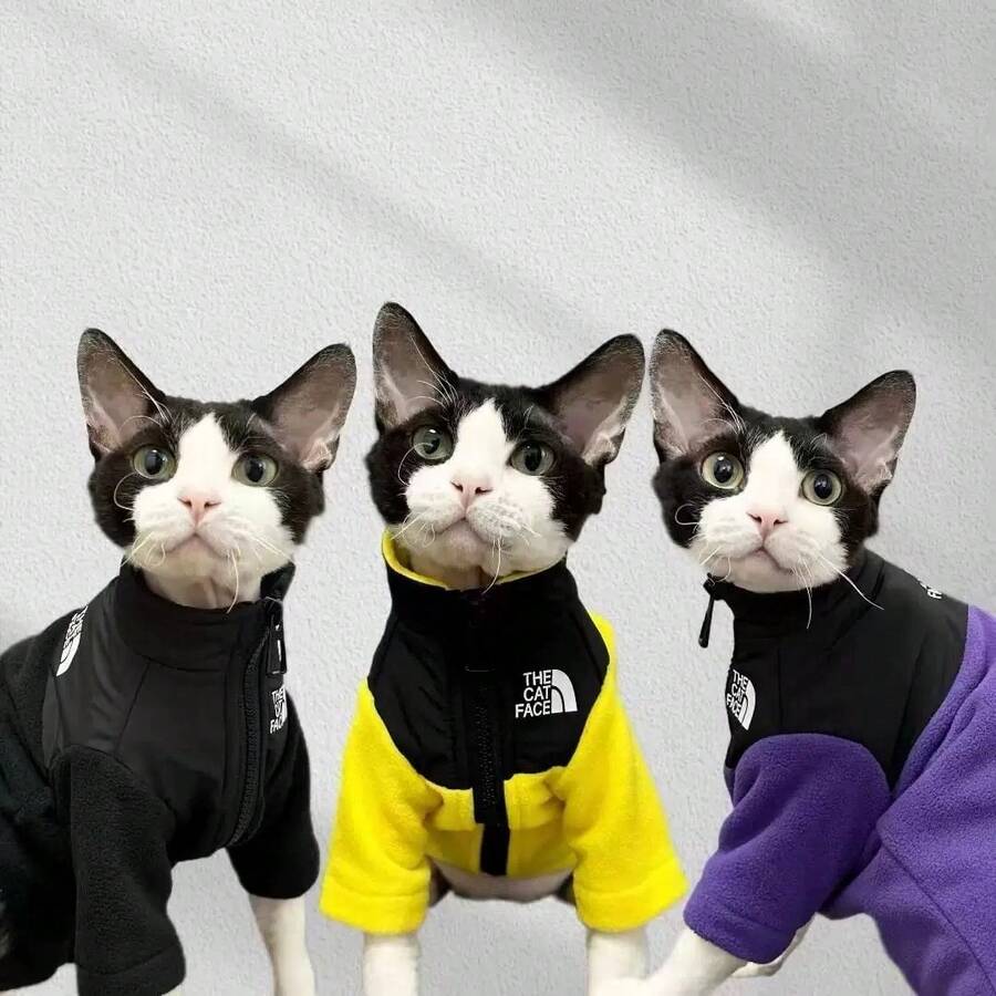 جاكيت صوف للقطط مع شعار "THE CAT FACE"، جاكيت وجه القطة، ملابس الحيوانات الأليفة للقطط والكلاب الصغيرة والمتوسطة، قابل للغسل في الغسالة - الأسود - مشاهدة 1