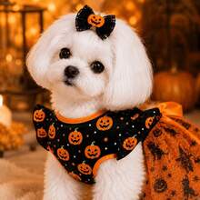 PETSIN Halloween Pumpkin Dog Tutu Dress With Large Bow And Ruffle Sleeves, Shiny Tulle Skirt With Witch And Bat Prints, Cute Holiday Outfit For Small And Medium Dogs And Cats - Orange - View 4
