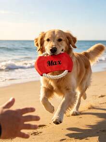 1pc Customized Pet Name Rope Flying Disc, Dog Outdoor Throwing Interactive Toy, Thickened Oxford Fabric Bite-Resistant And Pull-Resistant, Suitable For Small, Medium And Large Dogs, Pet Birthday Gift, Great Gift For Pet Owners - Multicolor - View 4