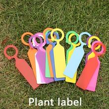 Garden Plant Labels With Ring Clips, PVC Material, Waterproof, Sun-Resistant And Durable, Suitable For Fruit Trees, Vines And More, Ideal Choice For Outdoor Gardening - Multicolor - View 8