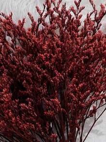 26/55/110/150/300pcs Mini Artificial Baby's Breath And Other Artificial Flowers - For Resin Mold Art And Handicrafts, Colored Bouquets For Hair Accessories, Wedding Wreaths, Table Flowers, Home Decor - For Resin Mold Art And Handicrafts, Ivory White Bouquets For Hair Accessories, Wedding Wreaths, Table Flowers And Home Decor - Red Lover Grass - View 7