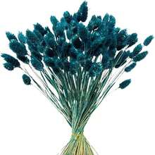 Peacock Blue